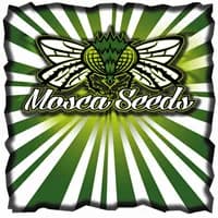 Mosca Seeds logo
